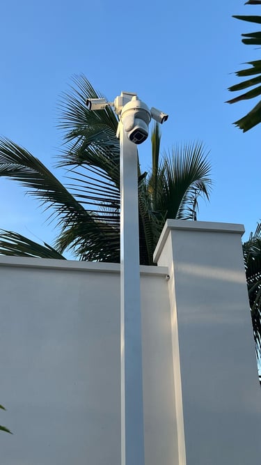 a camera mounted to a wall near a palm tree