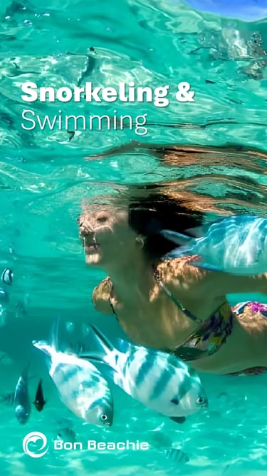Snorkeling Banner