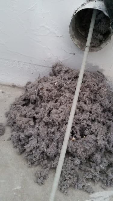 Drier lent removal for Fort Myers Florida