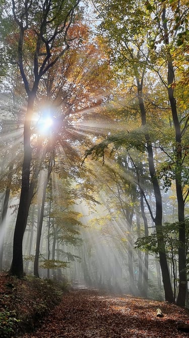 Sängelberg im Herbst