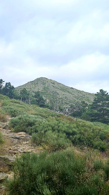 Montón de Trigo photographed by Nikoru