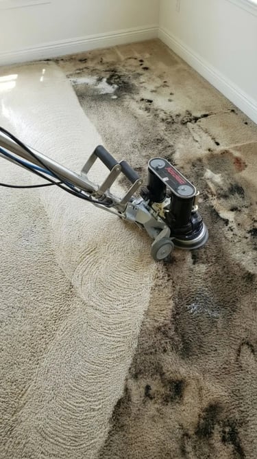 Grossbusters Carpet Cleaning  - Rotovac carpet restoration