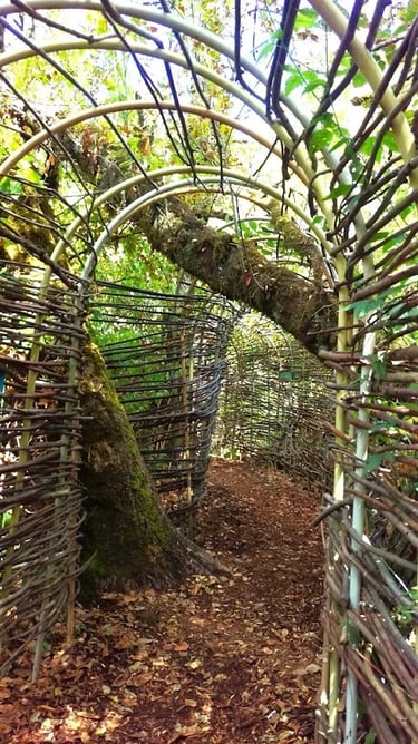 Eugene, OR - An arch tunnel made of wood on the trail at Mount Pisgah Arboretum