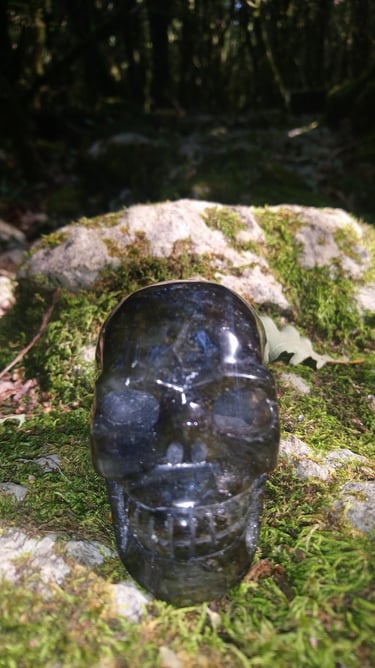 crâne cristal mousse
