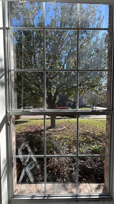 Window that has been cleaned