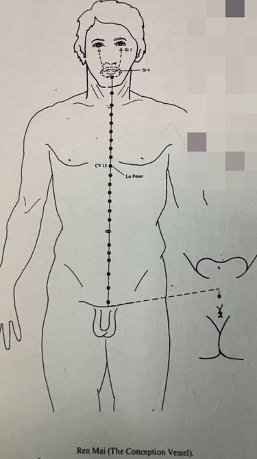 “Ren Mai (Conception Vessel): the yin ancestry of connection and bonding.