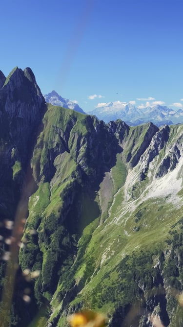 Höfats Sonne berge Arnika im Vordergrund Wolken