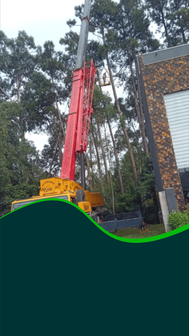 Serviço de corte de árvores de alto risco com guindaste e plataforma em Curitiba