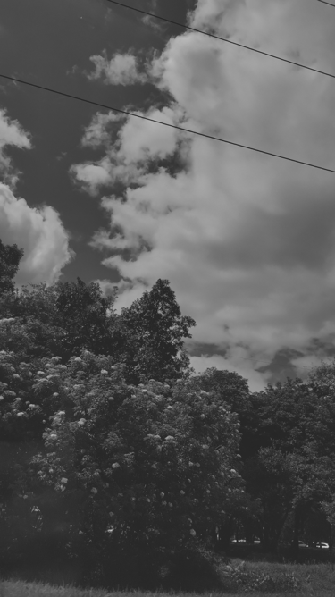 A black-and-white landscape of clouds and trees beneath power lines.