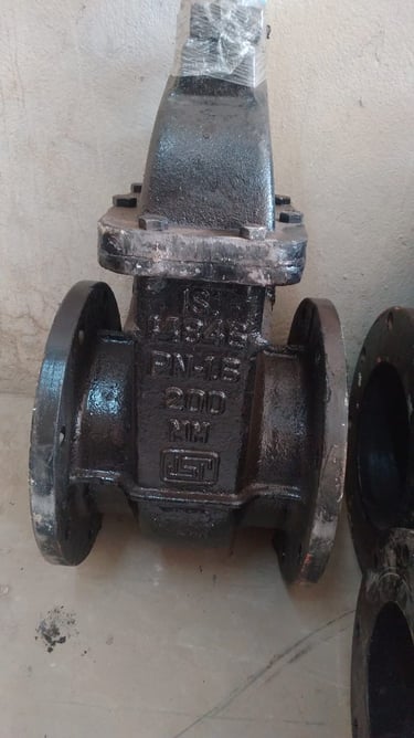 Plain Valves