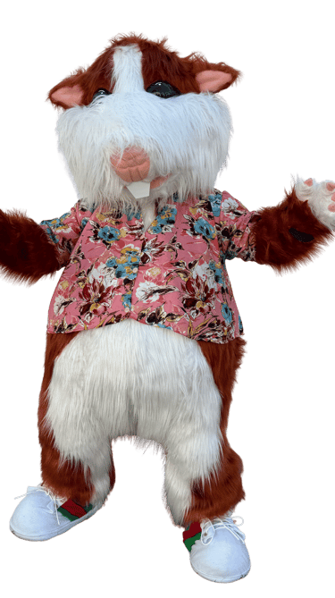 fabricacion de botarga para empresas de uron