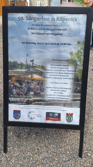 Plakat zum 50. Sängerfest