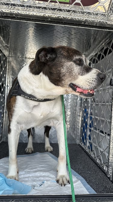 One of our happy Customers