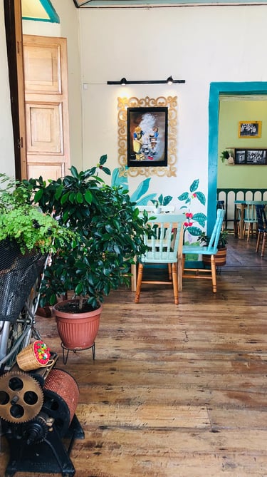 Café Casa Elda, Guática Risaralda