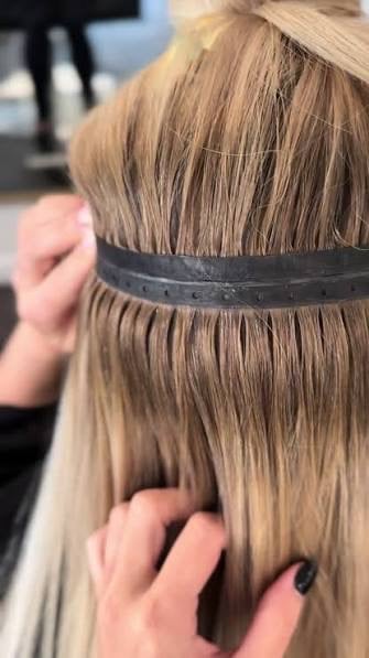 stock photo butterfly extensions