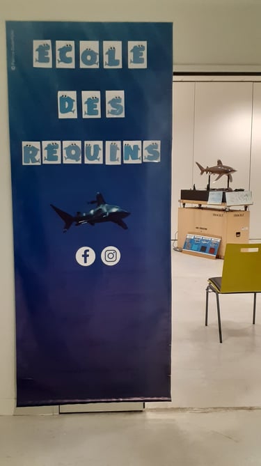 a poster board with a shark and a chair