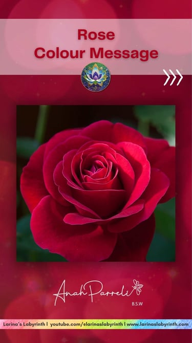 Colour Messasges: Power of the colour Rose. Colour Healing. Color healing.