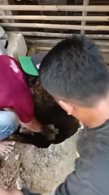 foto-pekerja-sedot-wc