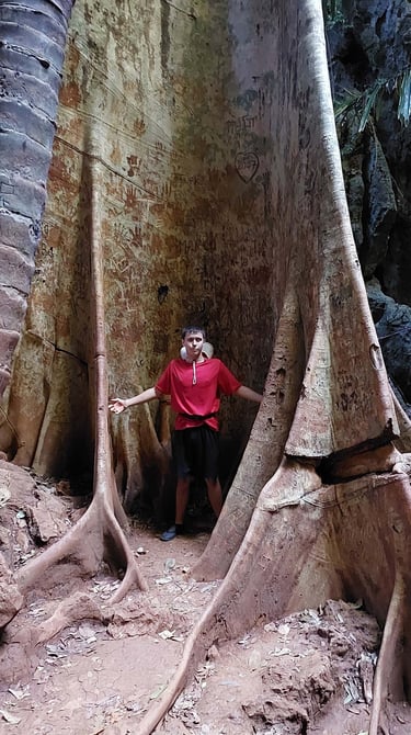 thailand krabi railay princess lagoon buttressed root tree