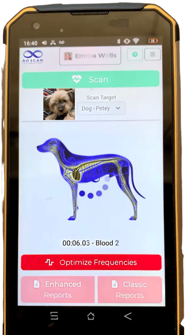 a cell phone showing a dog scan