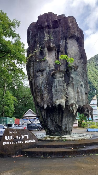 thailand phang nga mangrove forest park