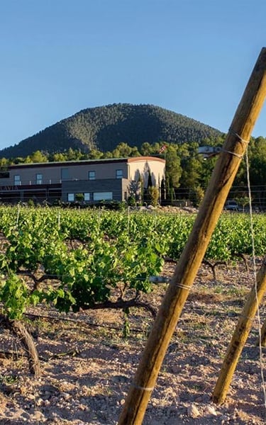 One of the many vineyards located on the outskirts of Bullas, a town with its own wine designation o
