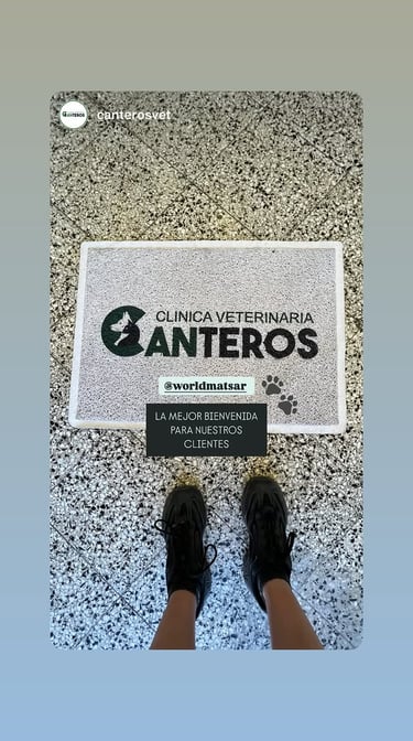 Felpudo personalizados con logo veterinaria pet shop canteros