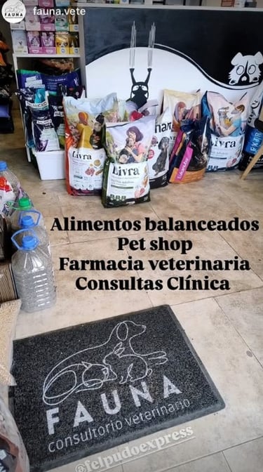 Felpudo personalizados con logo veterinaria pet shop fauna