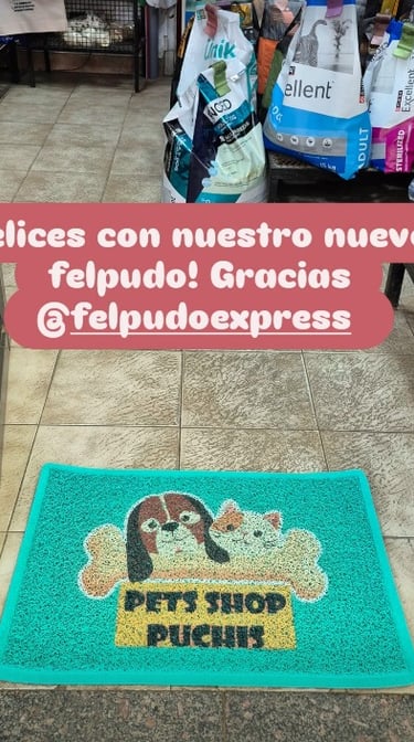 Felpudo personalizados con logo veterinaria pet shop puchis