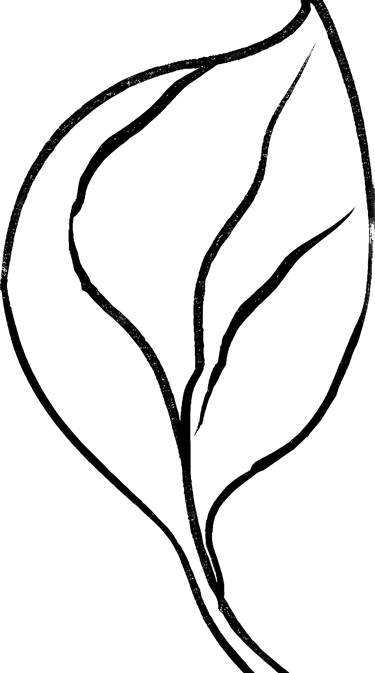 Line leaf drawing used as a bullet point