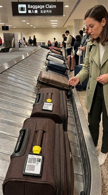 Image showing Identical Bags are on the carousel