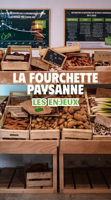 vidéaste cadreur monteur orléans