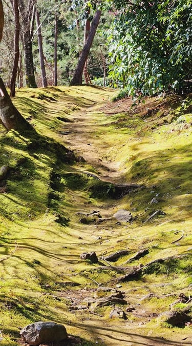 The Road less taken