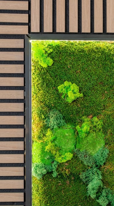 a mossel planter with mossel and mossel