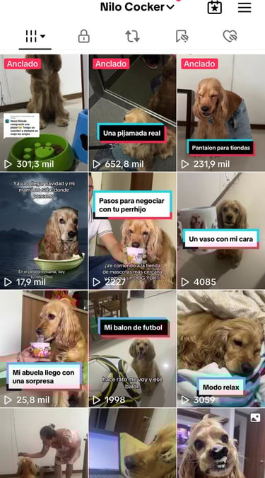Tiktoks de la cuenta de @nilopfongcocker