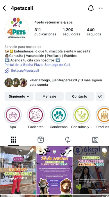 perfil de instagram de la veterinaria 4pets cali