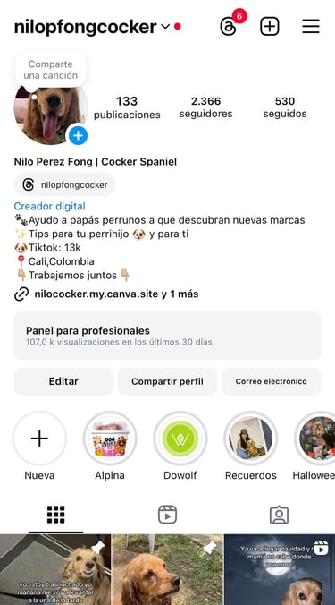 perfil de instagram de @nilopfongcocker