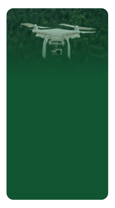 Serviços de resgate de drones em árvores Curitiba PR