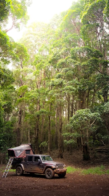 a truck parked in a forest with a tenter and a tent