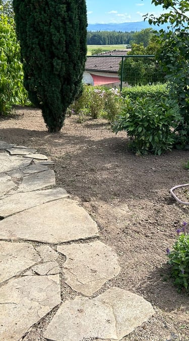 Unkraut entfernt. Steinweg zu sehen. Aufgeräumt und optisch schön