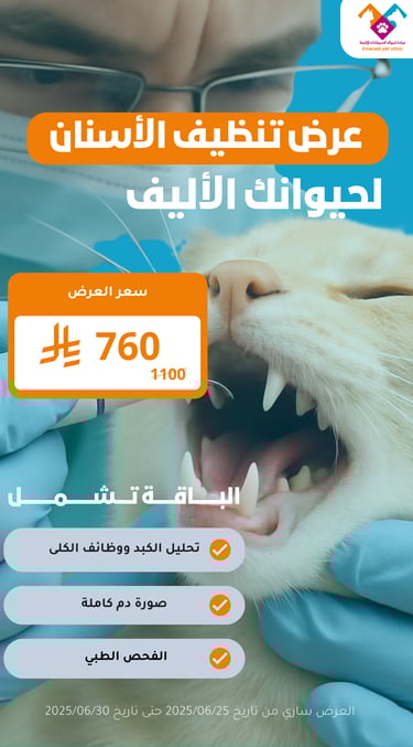 عرض تنظيف الأسنان الاحترافي لصحة فم أليفك