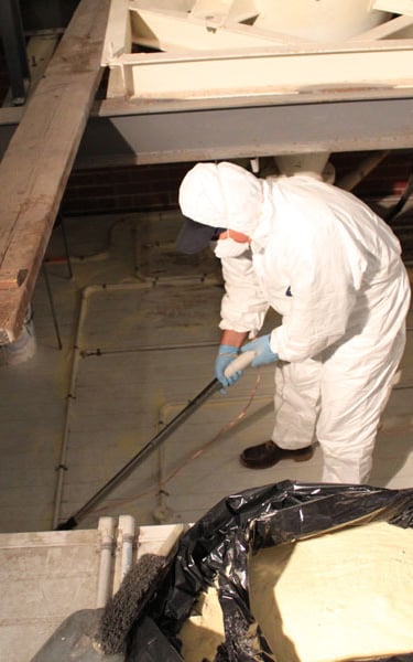 Mouse droppings basement cleanup in Northampton MA