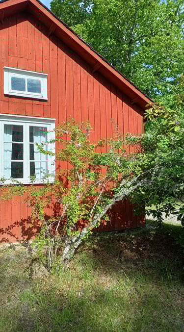  make wood look rustic with the only paint using traditional, matte, natural pigments