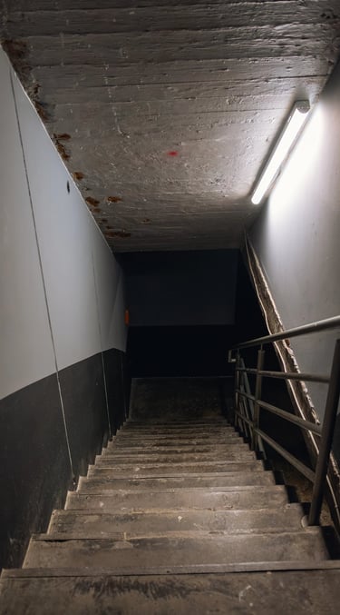 A dimly lit concrete stairwell leads down to a dark basement with a fluorescent light and metal handrail.