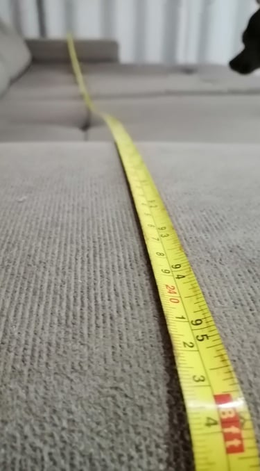 Limpeza e Higienização de Estofados em Campinas Campinas Upholstery Cleaning