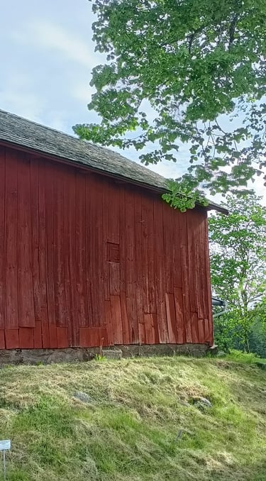 timeless color schemes, creative tips, and eco-friendly options to transform your outdoor storage space into a charming garde