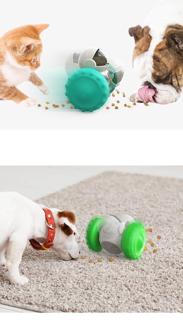 Treat Dispenser