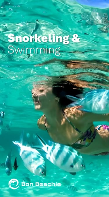 Snorkeling Banner