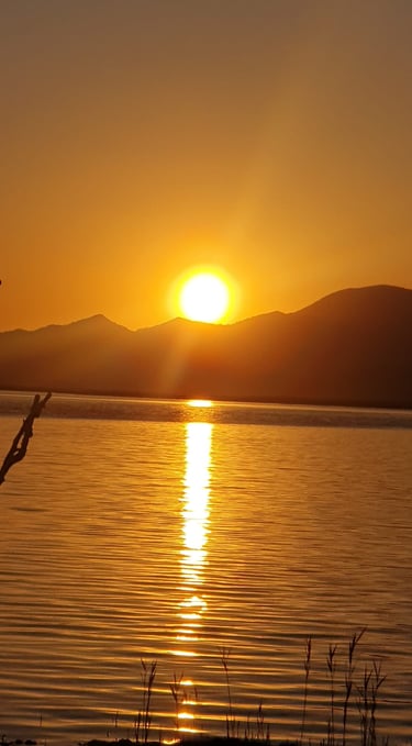 a sunset over a lake with a tree in the foreground