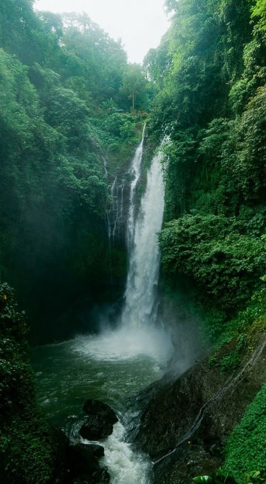 cascade en Forêt, l'eau régénère la nature.